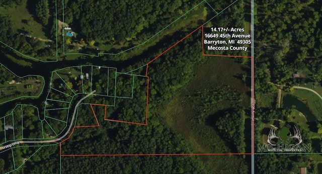 16649 45th Ave, Barryton, MI 49305
