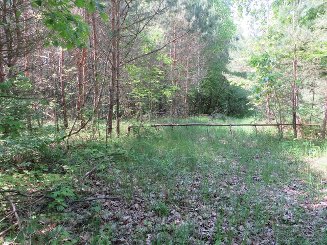 16649 45th Ave, Barryton, MI 49305