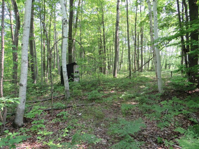 16649 45th Ave, Barryton, MI 49305