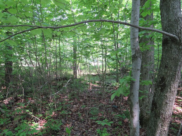 16649 45th Ave, Barryton, MI 49305