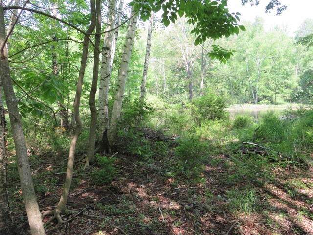 16649 45th Ave, Barryton, MI 49305