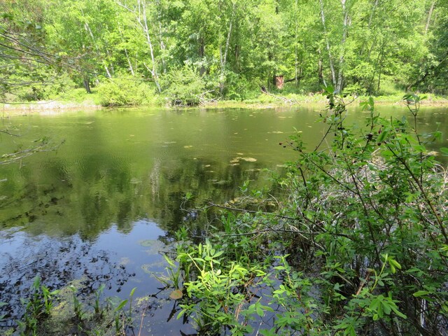 16649 45th Ave, Barryton, MI 49305