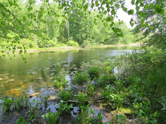 16649 45th Ave, Barryton, MI 49305