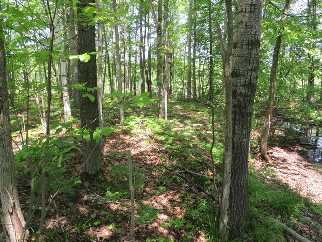 16649 45th Ave, Barryton, MI 49305