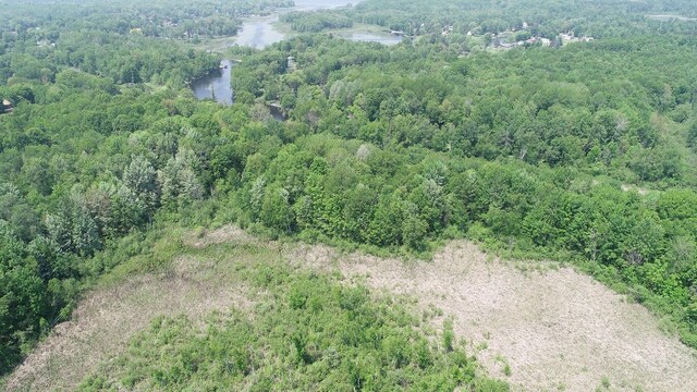 16649 45th Ave, Barryton, MI 49305