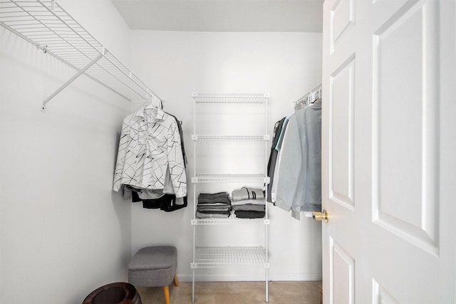2663 Weatherby Hills Dr SE, Grand Rapids, MI 49546 - view of walk in closet