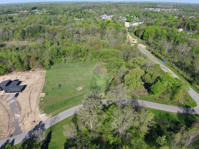 14335 Sheffields Way, Marne, MI 49435