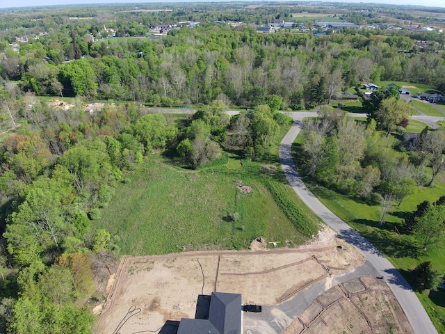14335 Sheffields Way, Marne, MI 49435