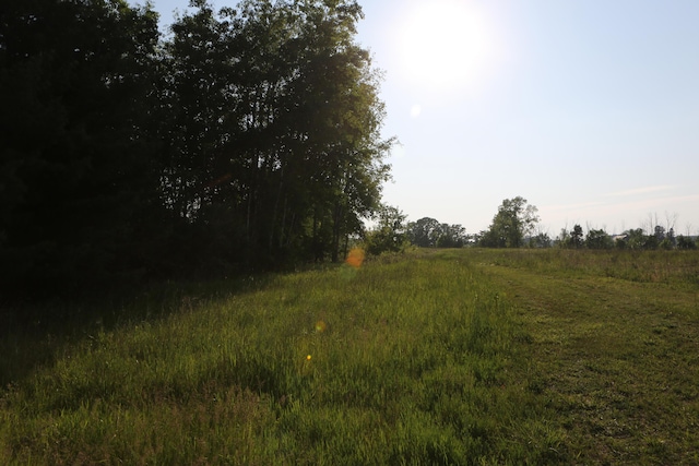 10750 N Gravel Ridge Rd, C, Lakeview, MI 48850