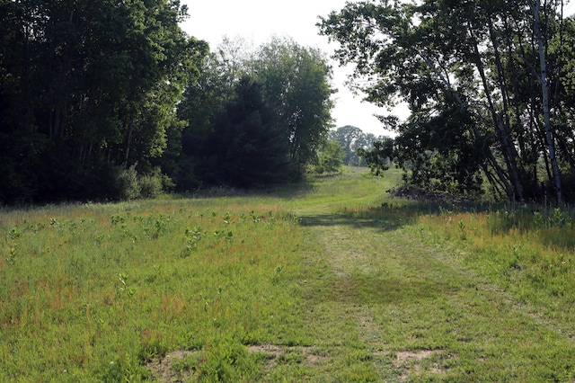 10750 N Gravel Ridge Rd, C, Lakeview, MI 48850