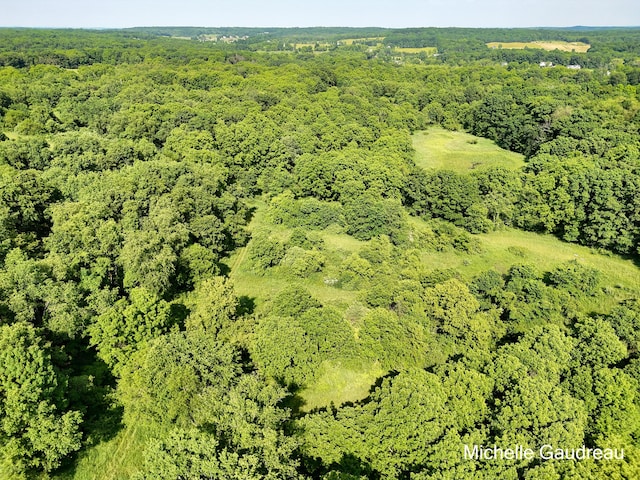 4756 Robertson Rd, Middleville, MI 49333