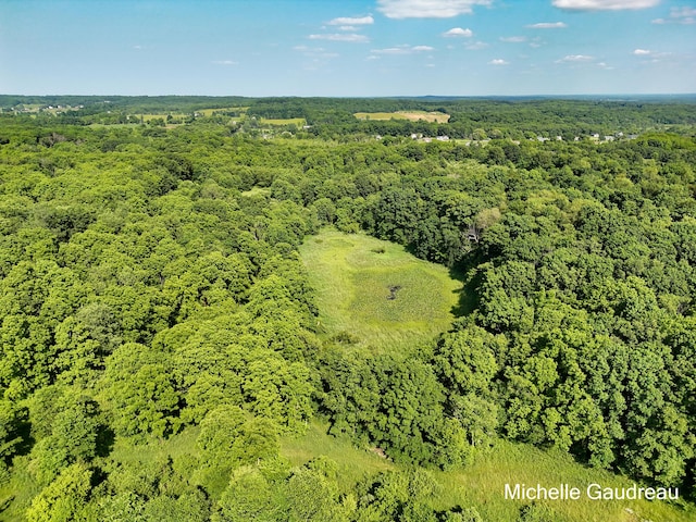 4756 Robertson Rd, Middleville, MI 49333