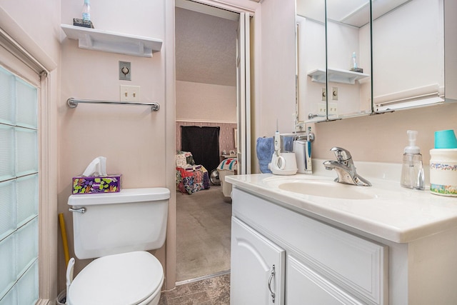 311 Moccasin St, Buchanan, MI 49107 - bathroom featuring vanity and toilet