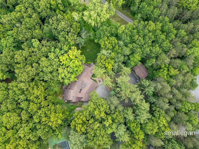 550 Greentree Ln NE, Ada, MI 49301 - aerial overview of property's location