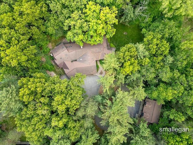 550 Greentree Ln NE, Ada, MI 49301 - aerial view of property and surrounding area