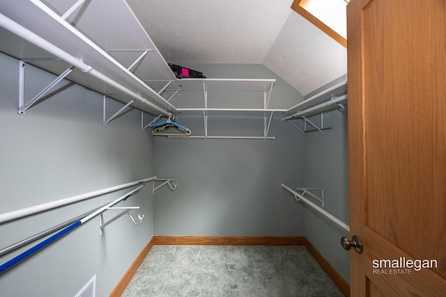 550 Greentree Ln NE, Ada, MI 49301 - walk in closet featuring carpet floors and vaulted ceiling