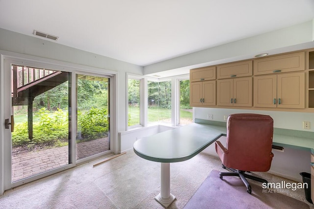 550 Greentree Ln NE, Ada, MI 49301 - office area featuring built in desk and carpet flooring