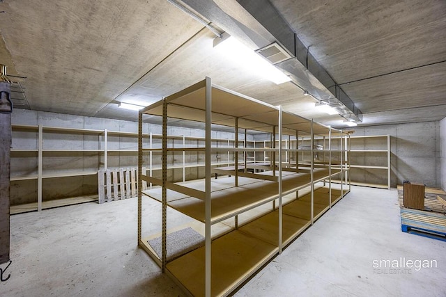 550 Greentree Ln NE, Ada, MI 49301 - view of storage area