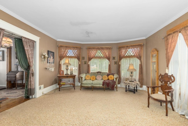3155 24th Ave, Hudsonville, MI 49426 - living area with plenty of natural light, ornamental molding, and carpet