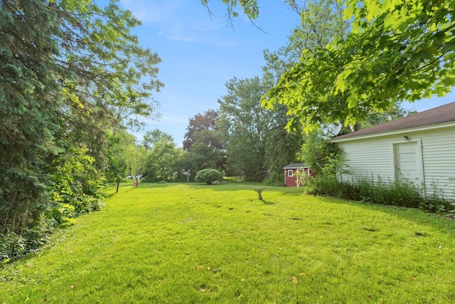 3155 24th Ave, Hudsonville, MI 49426 - view of grassy yard featuring a storage shed