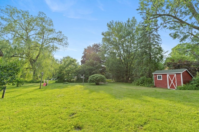 3155 24th Ave, Hudsonville, MI 49426 - view of grassy yard with a shed and view of scattered trees