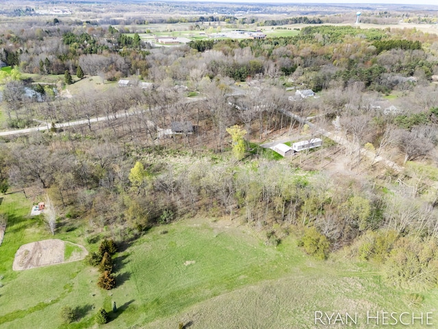 1057 W Tuttle Rd Unit 2Acre, Ionia, MI 48846