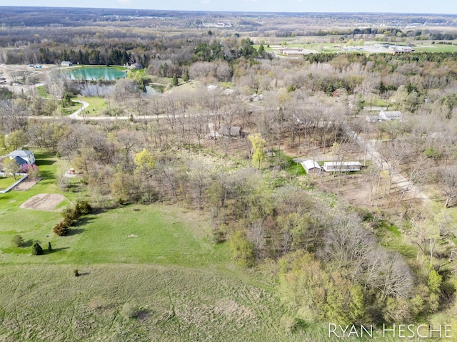 1057 W Tuttle Rd Unit 2Acre, Ionia, MI 48846