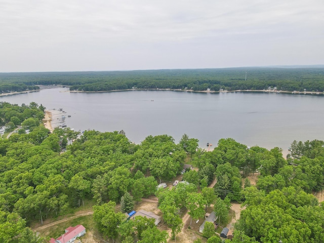 11839 S Black Cherry Ave, Baldwin, MI 49304 - photo 11