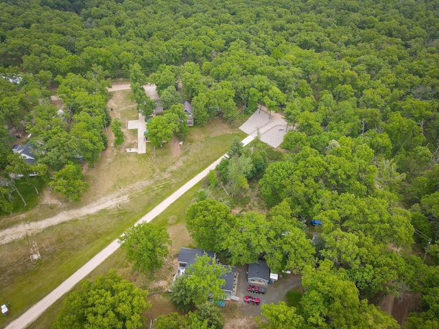 11839 S Black Cherry Ave, Baldwin, MI 49304 - photo 13