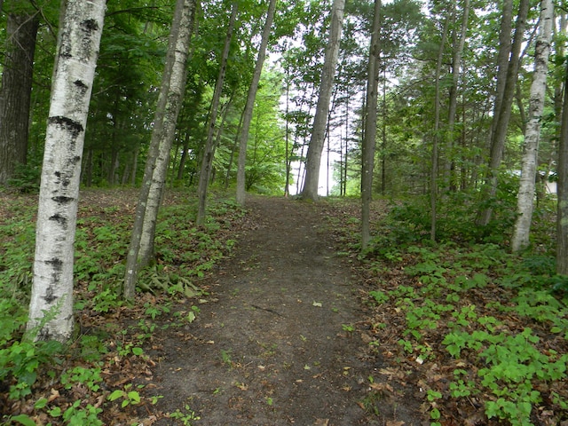 6088 N Larson Rd, Fountain, MI 49410