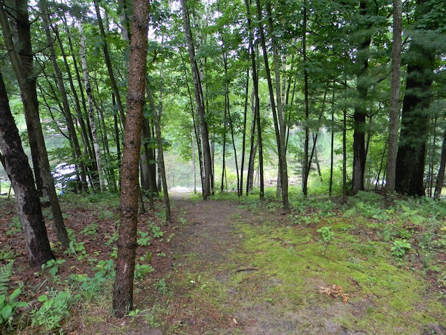 6088 N Larson Rd, Fountain, MI 49410