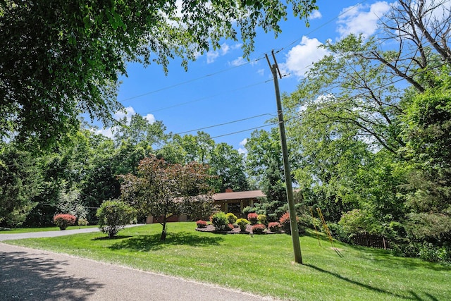 4104 Rurik Dr, Howell, MI 48843 - view of street