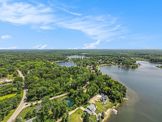 4104 Rurik Dr, Howell, MI 48843 - aerial view of a large body of water