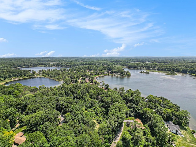 4104 Rurik Dr, Howell, MI 48843 - drone / aerial view of a forest and a nearby body of water