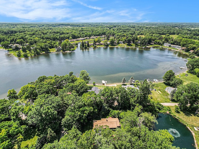 4104 Rurik Dr, Howell, MI 48843 - aerial view of a forest and a large body of water
