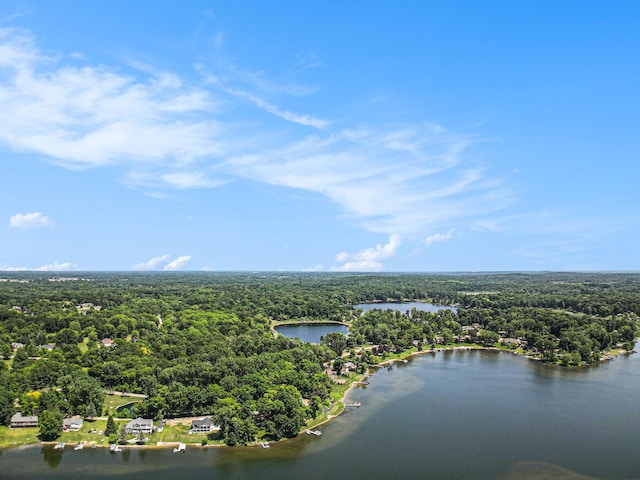 4104 Rurik Dr, Howell, MI 48843 - aerial view of a heavily wooded area and a nearby body of water
