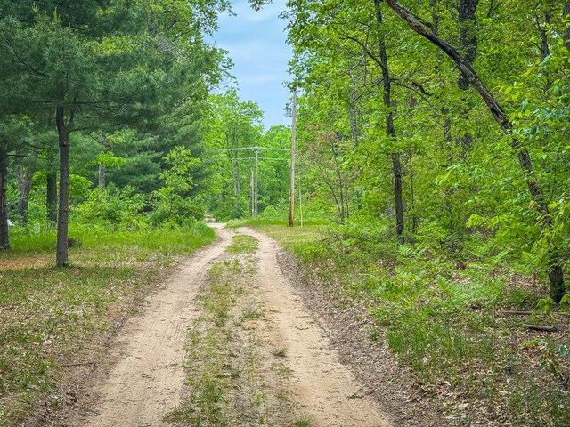 V/L S Black Cherry Ave, Baldwin, MI 49304