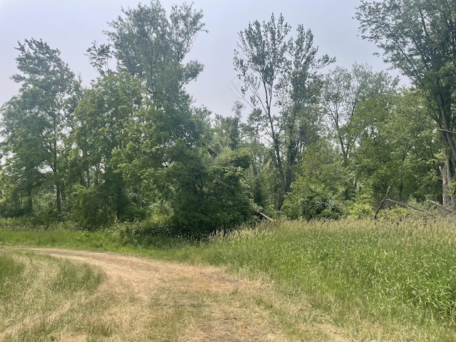 Dunks Rd, Sherwood, MI 49089 - photo 5