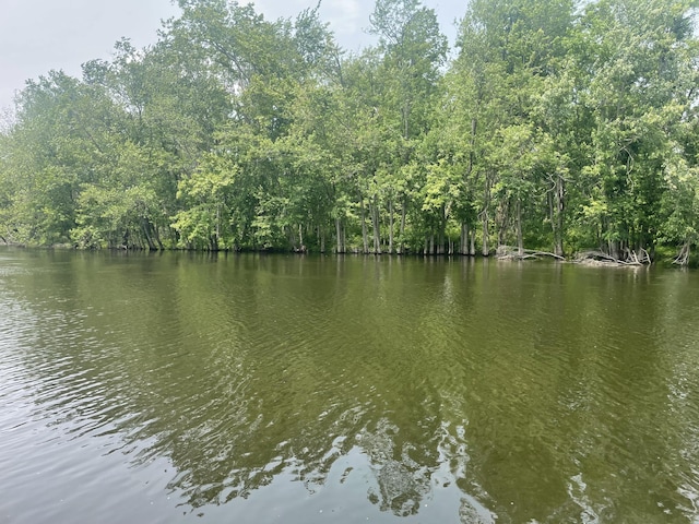 Dunks Rd, Sherwood, MI 49089 - photo 7