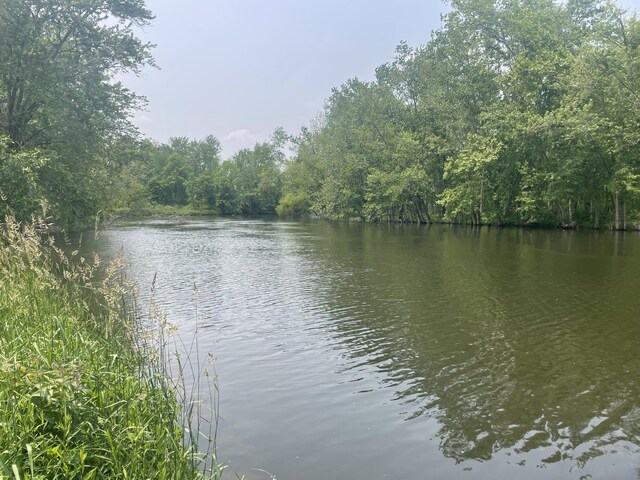 Dunks Rd, Sherwood, MI 49089 - photo 8