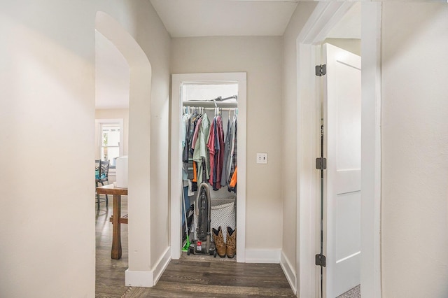 6710 28th Ave, Hudsonville, MI 49426 - hallway with wood finished floors and arched walkways