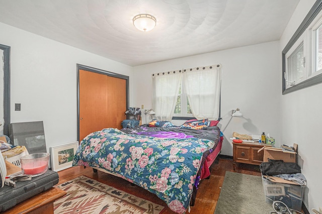 11738 Apple Dr, Nunica, MI 49448 - bedroom with wood finished floors and a closet