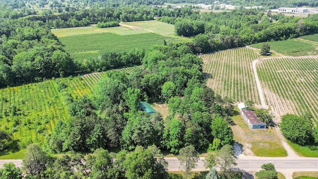 11738 Apple Dr, Nunica, MI 49448 - overview of rural landscape with abundant farmland