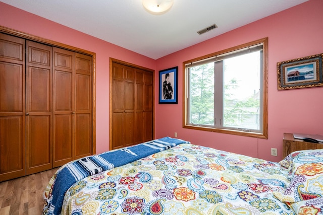 197 Wayne St, Saint Joseph, MI 49085 - bedroom featuring multiple closets and light wood-style flooring