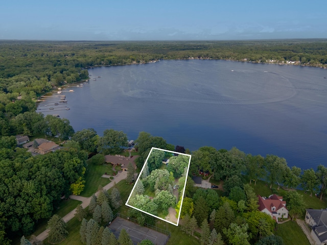 11971 Yankee Ln, Pinckney, MI 48169 - photo 35