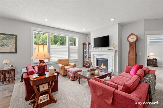 4441 Koinonia Dr NE Unit 3, Grand Rapids, MI 49525 - living area featuring a textured ceiling, a glass covered fireplace, and recessed lighting