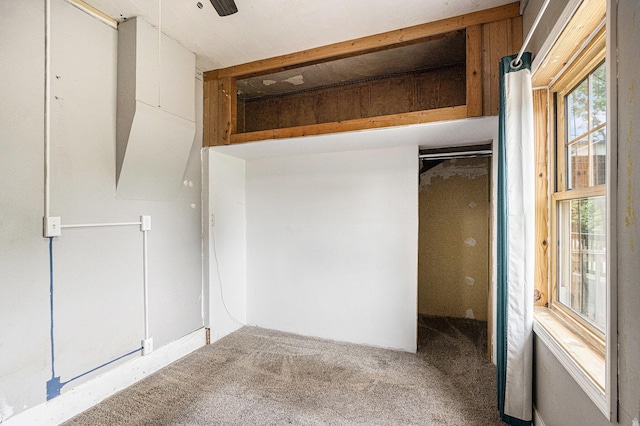 2943 108th Ave, Allegan, MI 49010 - unfurnished bedroom with multiple windows and carpet flooring