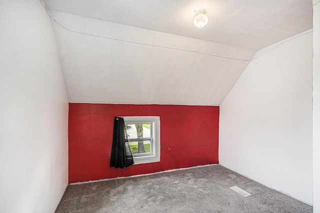 2943 108th Ave, Allegan, MI 49010 - bonus room with carpet flooring and lofted ceiling