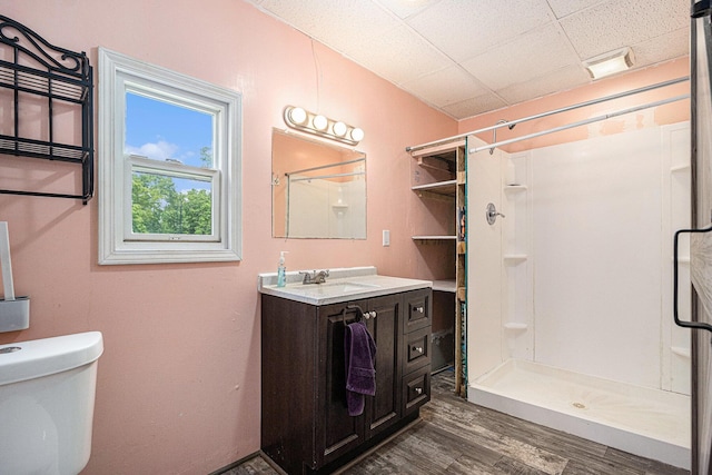2943 108th Ave, Allegan, MI 49010 - full bath featuring wood finished floors, a shower stall, vanity, and a paneled ceiling
