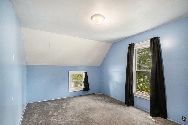 2943 108th Ave, Allegan, MI 49010 - bonus room with carpet floors, plenty of natural light, and vaulted ceiling